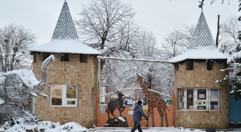 Зооуголок в Детском парке Симферополя закрыт на капремонт - вольеры приводят в соответствие новым требованиям. Фото: Анны Кадниковой