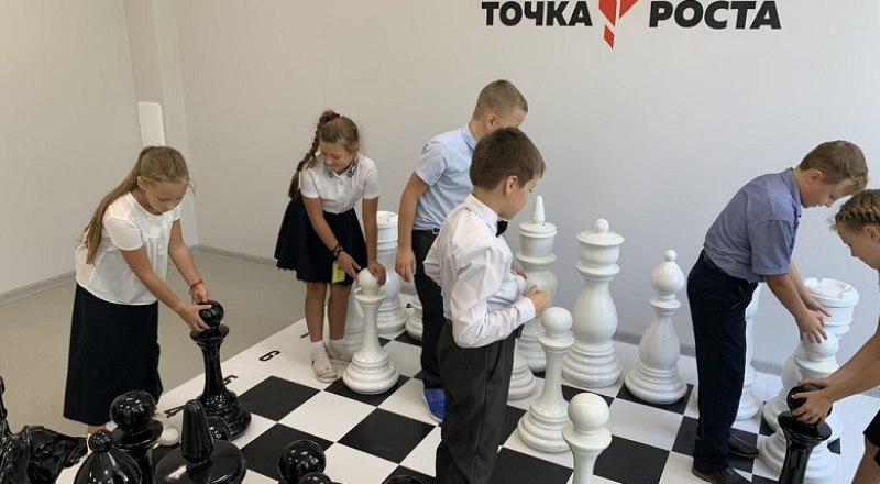 В центрах «Точка роста» школьники могут научиться играть в шахматы.