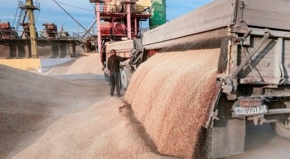 Только в прошлом году в Крыму изъяли более 700 тонн «ядовитого зерна».
