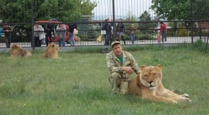 А на некоторых львах Олег Зубков даже катается верхом.