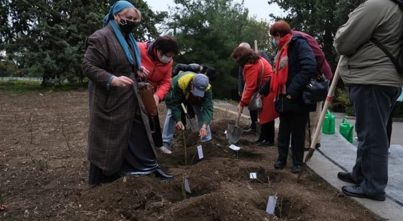 Фото пресс-службы администрации Ялты