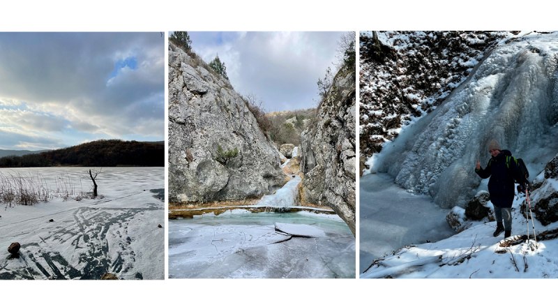 Вот такая красота теперь в горах и лесах. Фото автора и Власты НЕНАШЕВОЙ.