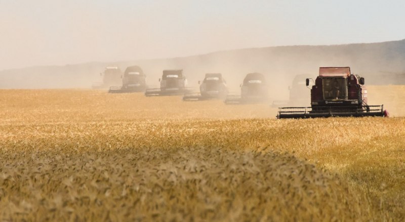 Фото пресс-службы главы РК.