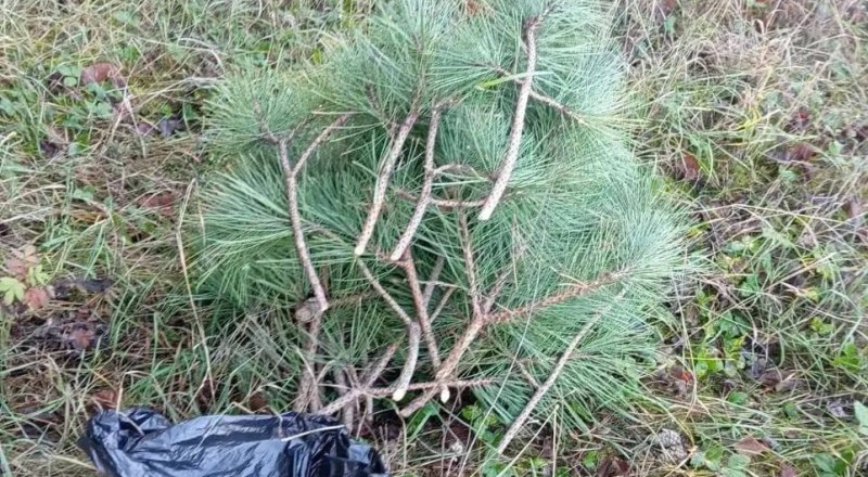 Фото пресс-службы Минприроды РК.