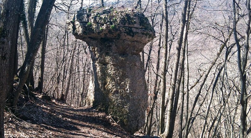 Каменные грибы выглядят волшебно. Иногда кажется, что они, словно выпали из лукошка великана.