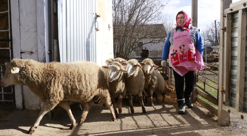 Сельское хозяйство в Крыму становится всё более дорогим удовольствием.