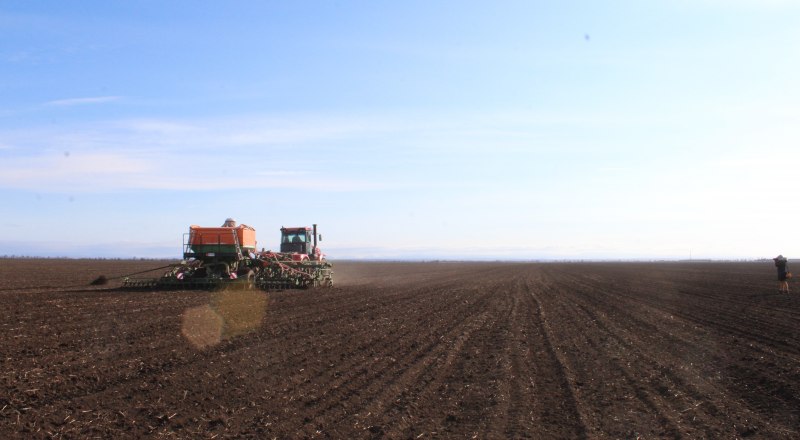 По прогнозам крымского Минсельхоза, полученного урожая хватит для обеспечения продовольственной безопасности региона.