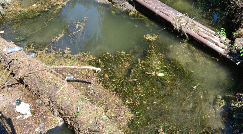 Реки полуострова получили влагу, а заодно и вредные вещества…