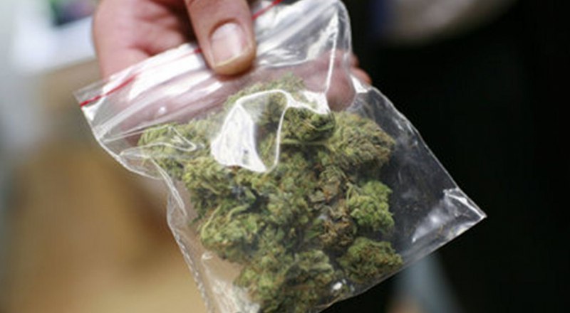 Провезти марихуану через границу конопля растение рода cannabis