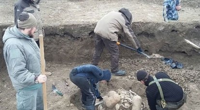 Учёные надеются, что им удастся раскопать уникальные для Тамани материалы бронзового века. Фото с сайта Вести.ру
