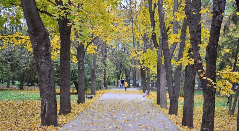 Полуостров начинает готовиться к зиме.