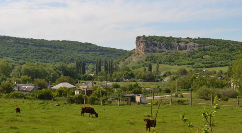 Эти зелёные красивые места Крыма могут исчезнуть.