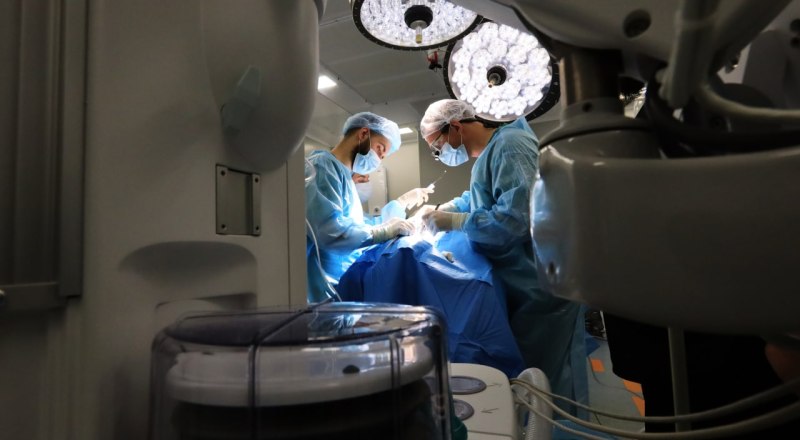 Фото пресс-службы главы РК.