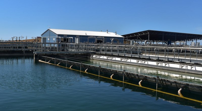 Фото пресс-службы главы РК.