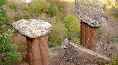 Каменные грибы - чудо природы.
