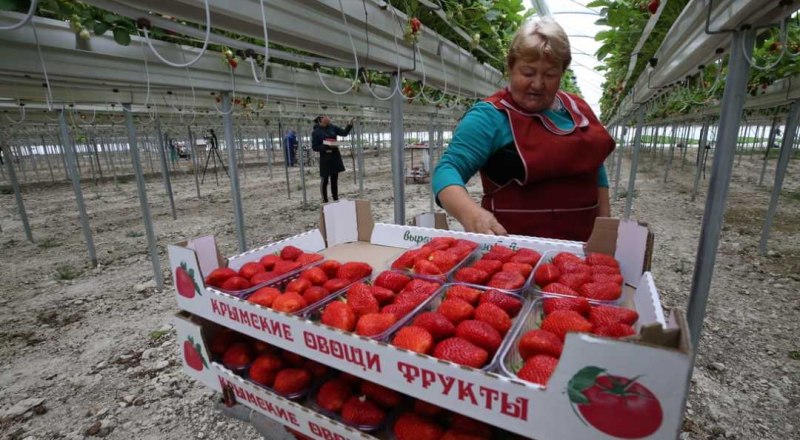 Фото: пресс-служба правительства РК.