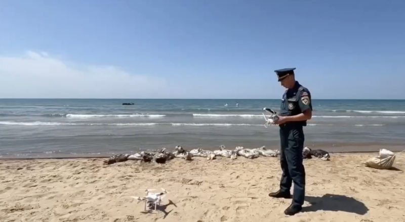 Фото МЧС России.