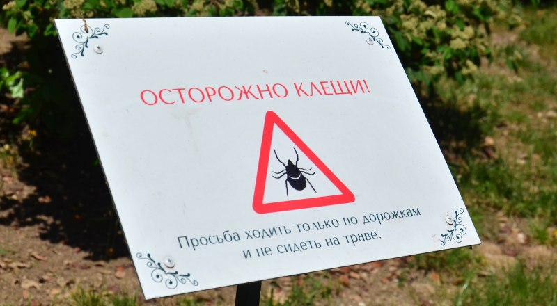 Нужно защитить себя от опасности.
