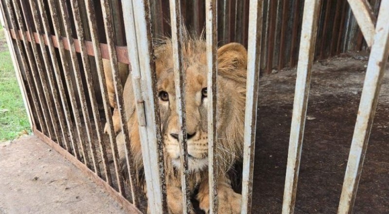 Фото пресс-службы Росприроднадзора.