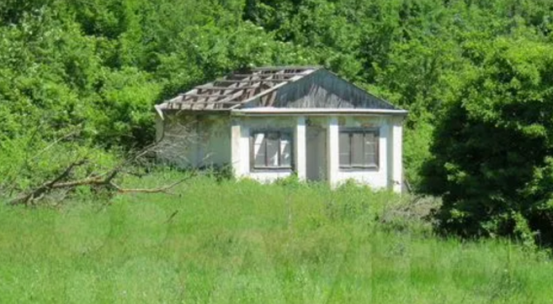 Такие домики можно купить в Крыму. Прямо в лесу. Фото из открытого источника.