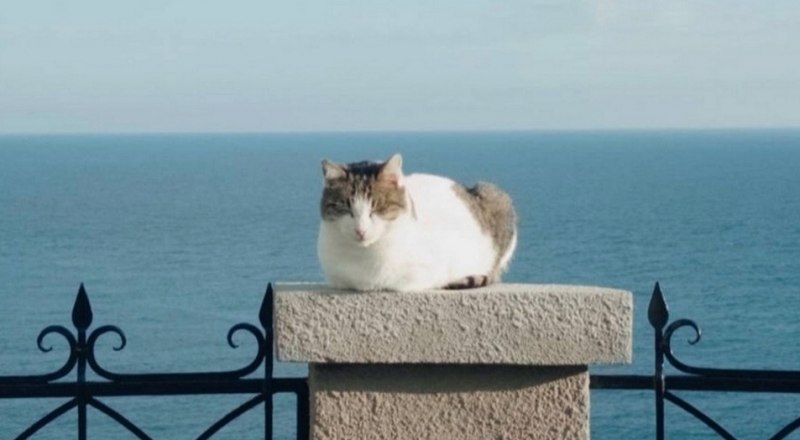 Мусе было 10 лет.