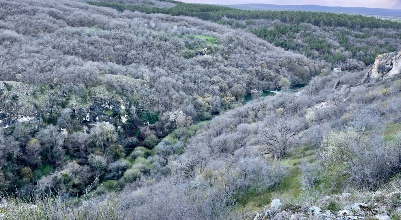 Крымские леса нужно беречь. Без них у нас не будет ни кислорода, ни туристов. 