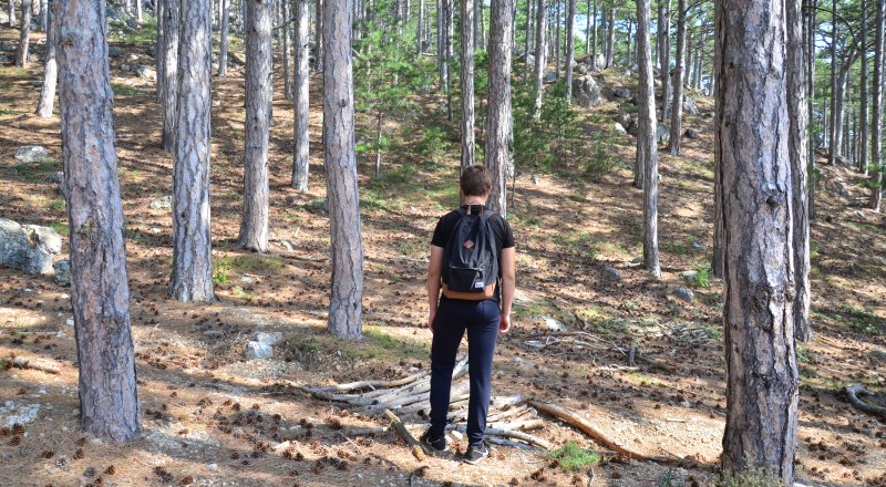 Прогулки по территории «Заповедного Крыма» станут чуть более хлопотными. Но эти меры оправданы. 