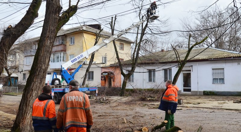 Обрезка деревьев вызвала возмущение и читателей «Крымской правды», которые утверждают, что за десятилетия жизни в Симферополе не видели такого варварства.