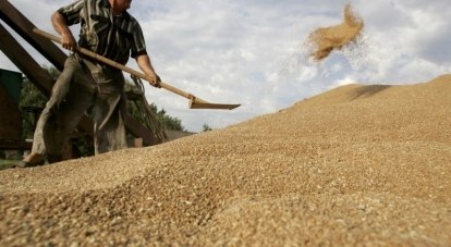 В Крыму намолотили более миллиона тонн зерновых.