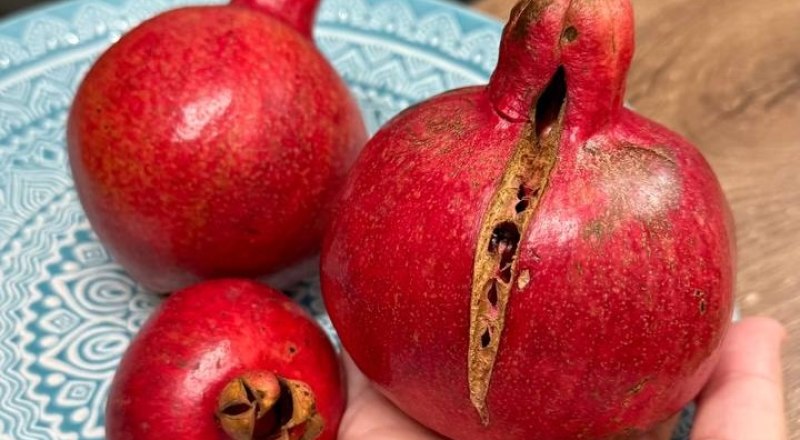 Продукты для здоровой жизни можно найти на прилавках магазинов круглый год или вырастить у себя на участке.