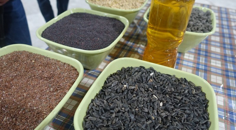 Фото пресс-службы Минсельхоза РК.