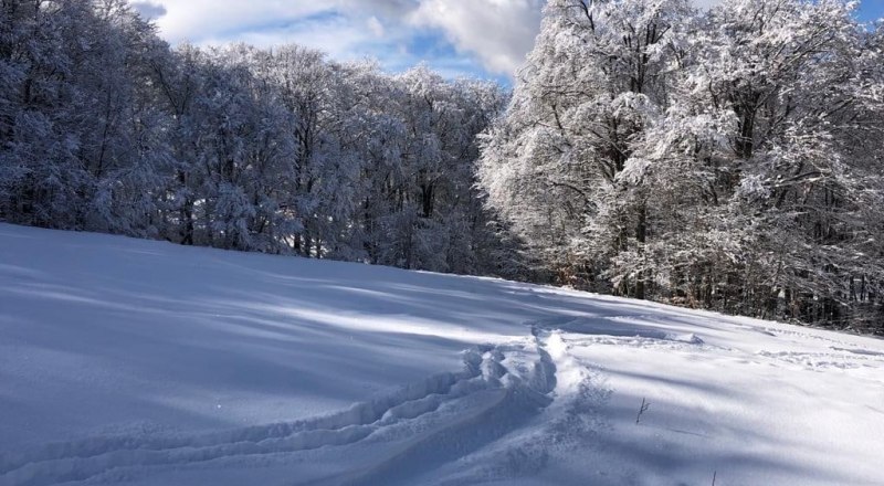 Снегом засыпало и плато Ай-Петри. Фото из открытого источника.