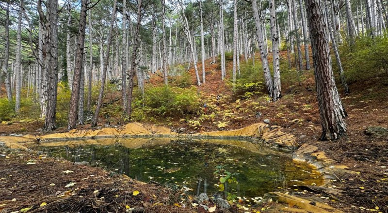 Чистый водоём - больше шансов быстро потушить пожар. Фото ФГБУ «Заповедный Крым».