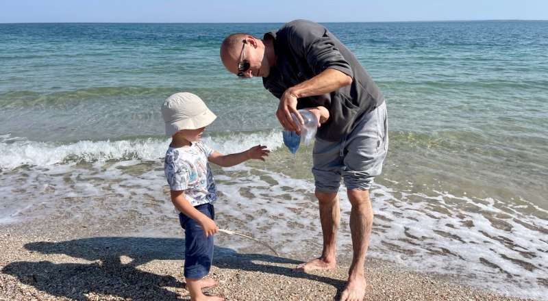 Медузы могут больно жалить всех, кто заберётся в море.