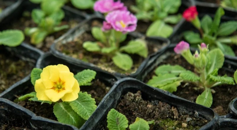 Фото пресс-службы администрации Симферополя.