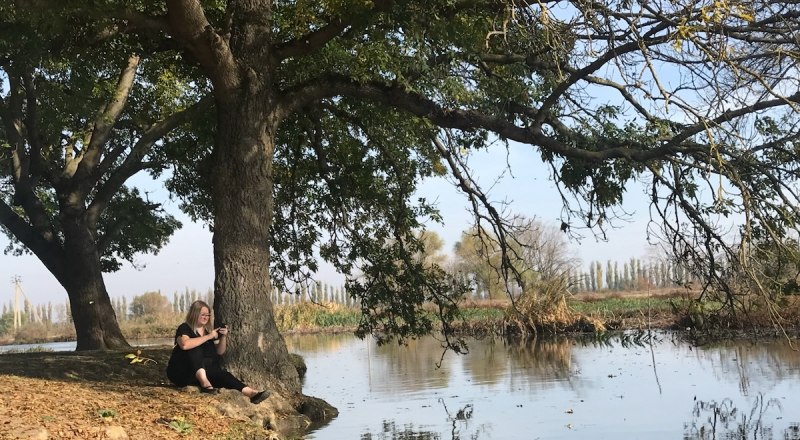 Водоёмы мелеют на глазах.