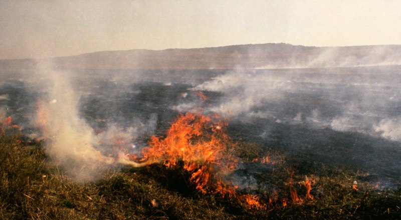 Этим летом у МЧС на полуострове было более чем достаточно работы.