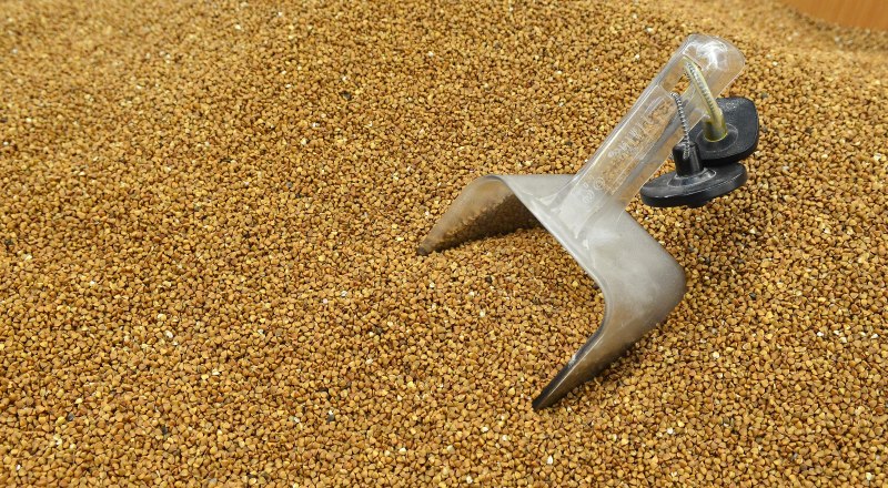 Отказ от покупки крупы из открытых ёмкостей - не гарантия чистого продукта.