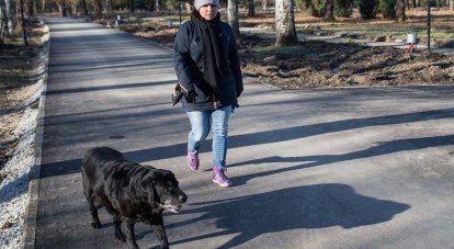 Скоро хозяева смогут культурно выгуливать своих собак в Гагаринском парке.