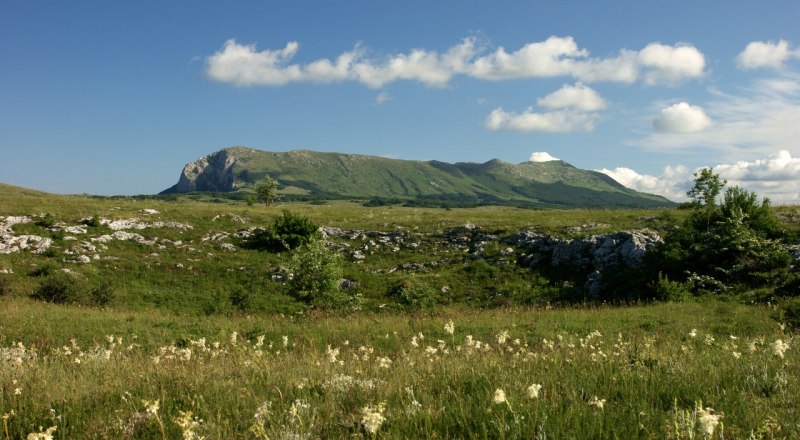 Фото с сайта МЧС по РК. 