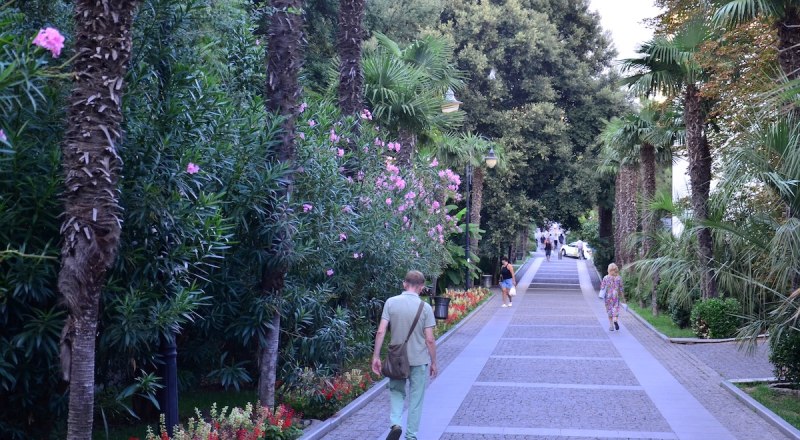 Горсад в Ялте может стать красивее.