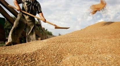 Лучше всех поработали аграрии, собравшие первый миллион тонн зерна раньше срока.
