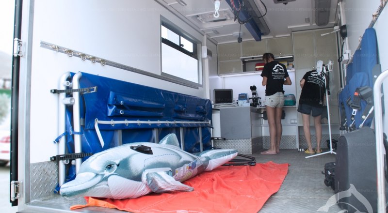фото Центра реабилитации дельфинов «Безмятежное Море» со страницы в социальной сети