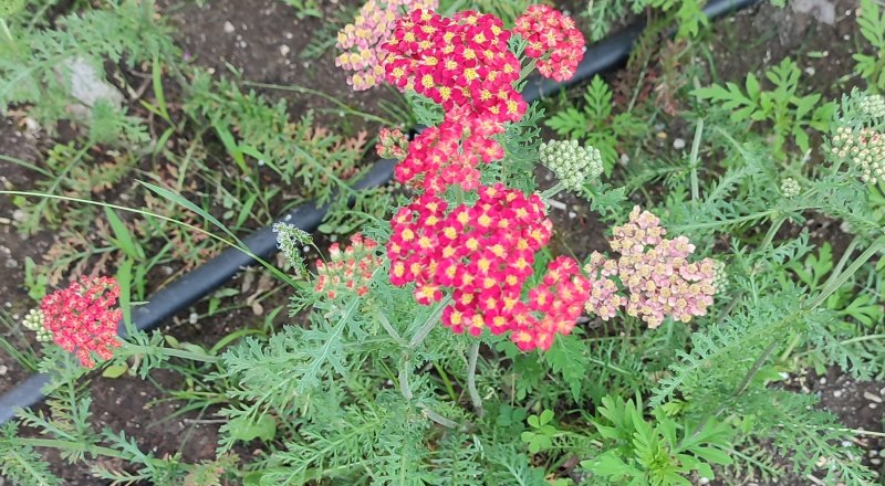 Весна ближе, чем может показаться. 