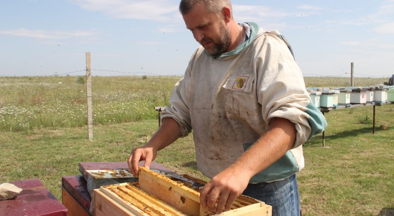Новый закон защитит крымских производителей качественного натурального мёда.