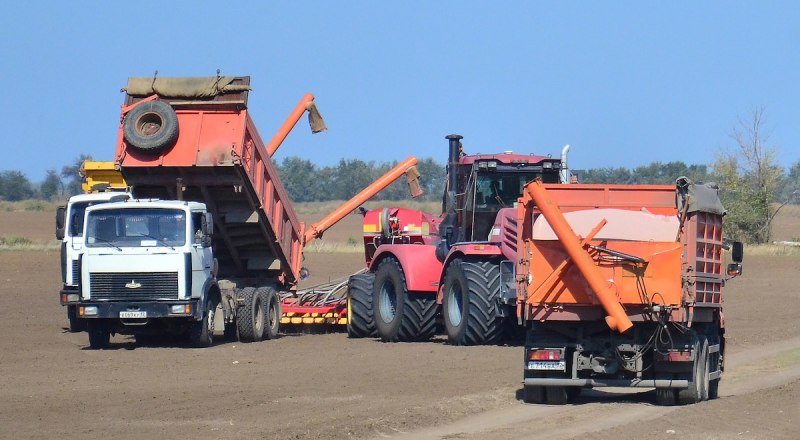 Урожай зависит от погоды. Почве нужна влага.
