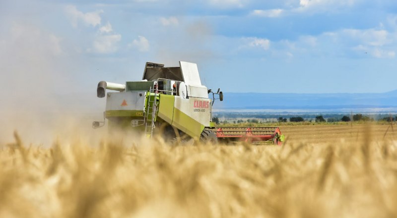 Фото пресс-службы главы РК.
