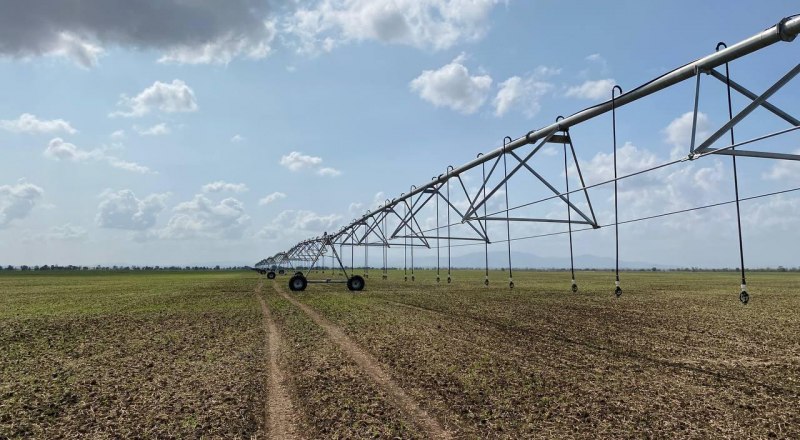 Фото пресс-службы Минсельхоза РК.