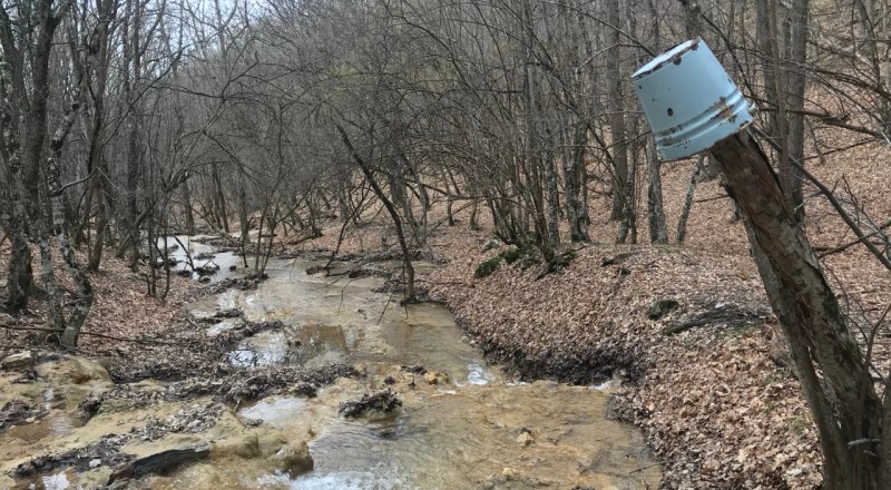 Состояние рек, питающих водохранилище Севастополя, вызывает много вопросов.