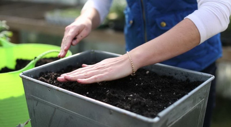 Чтобы не разориться на покупке готовой почвосмеси, можно приготовить грунт для рассады самостоятельно.